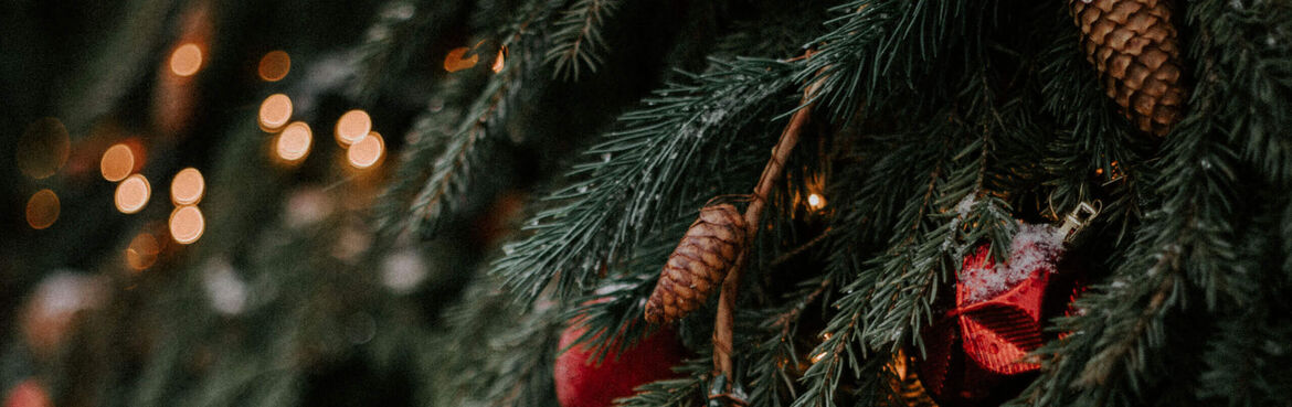 Weihnachten mit Woolworth