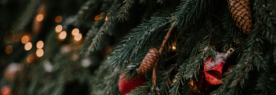 Weihnachten mit Woolworth