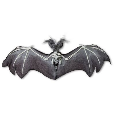 Halloween Fledermaus Skelett